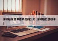 区块链底层生态系统的公司[区块链低层技术]