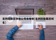 吉利控股区块链公司有哪些[吉利控股集团域名]