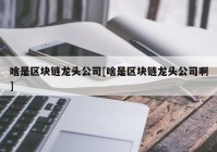 啥是区块链龙头公司[啥是区块链龙头公司啊]